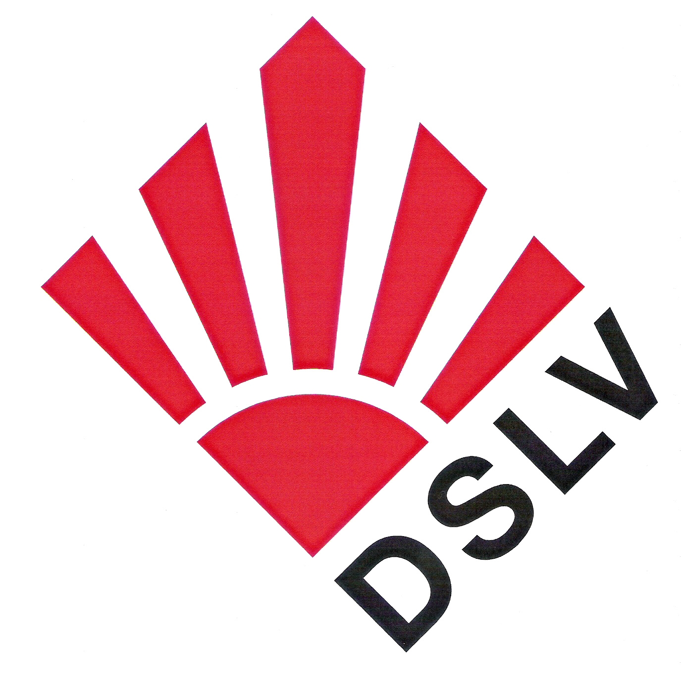 DSLV Logo